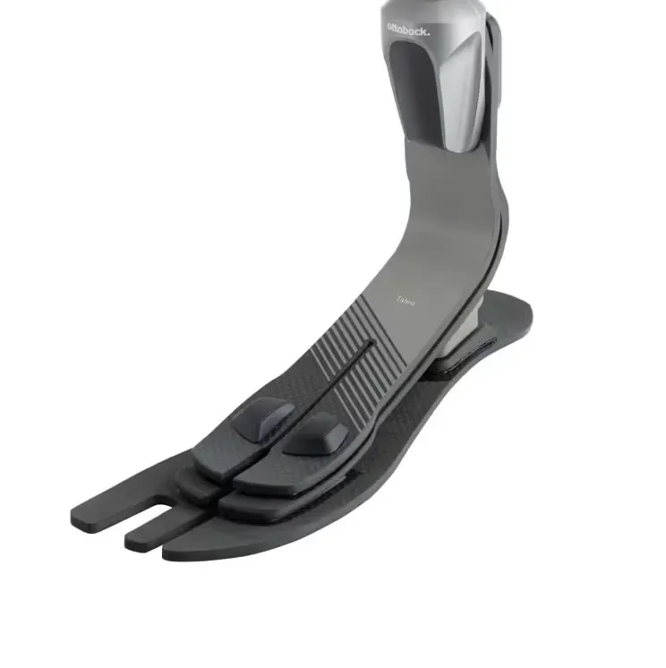 776 bet login - Taleo